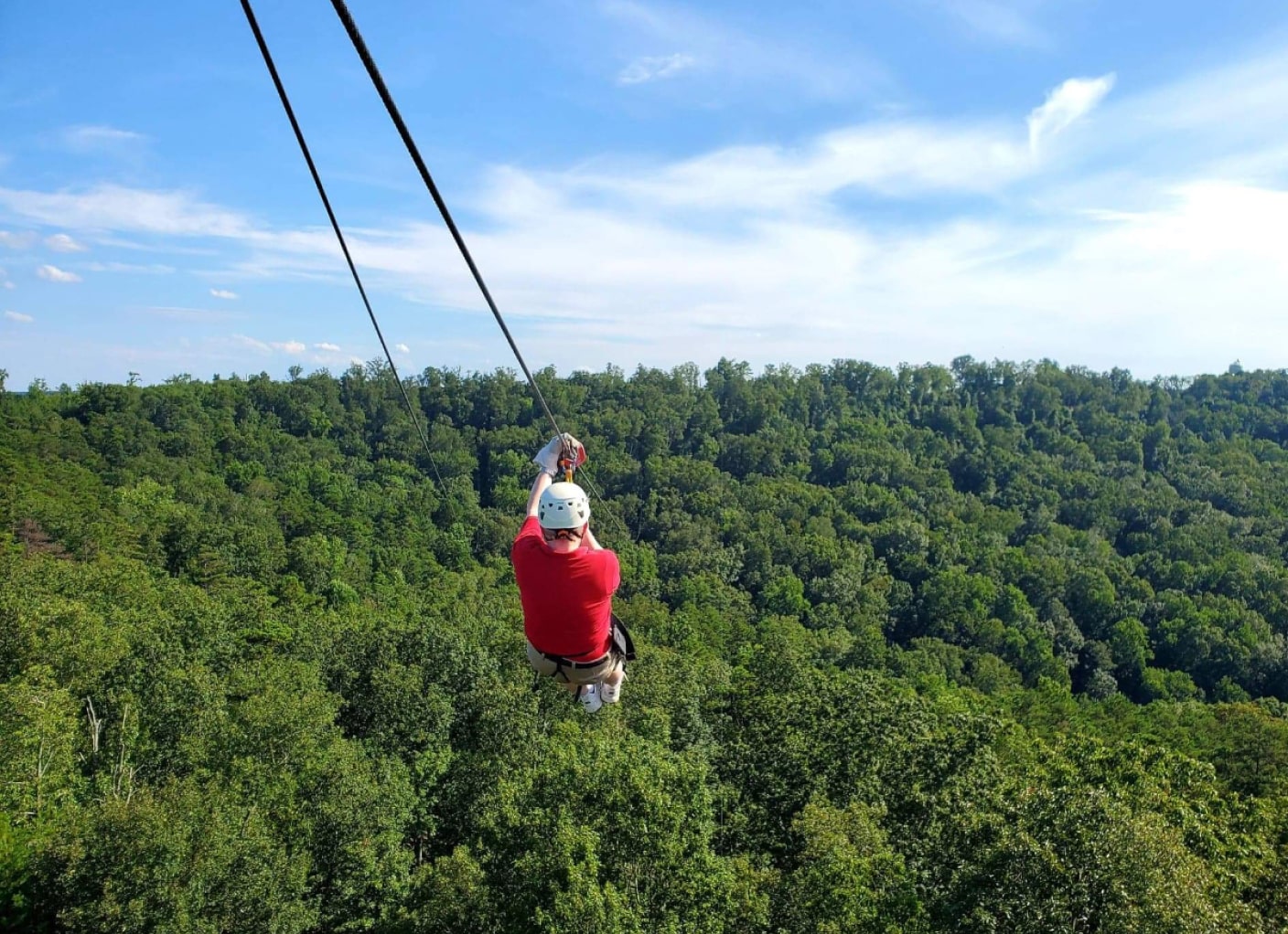 zip line over the tree canopy at lake guntersville
